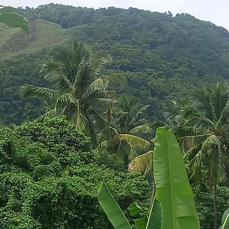 The Jungle Escape Hotel Soufriere Exterior photo