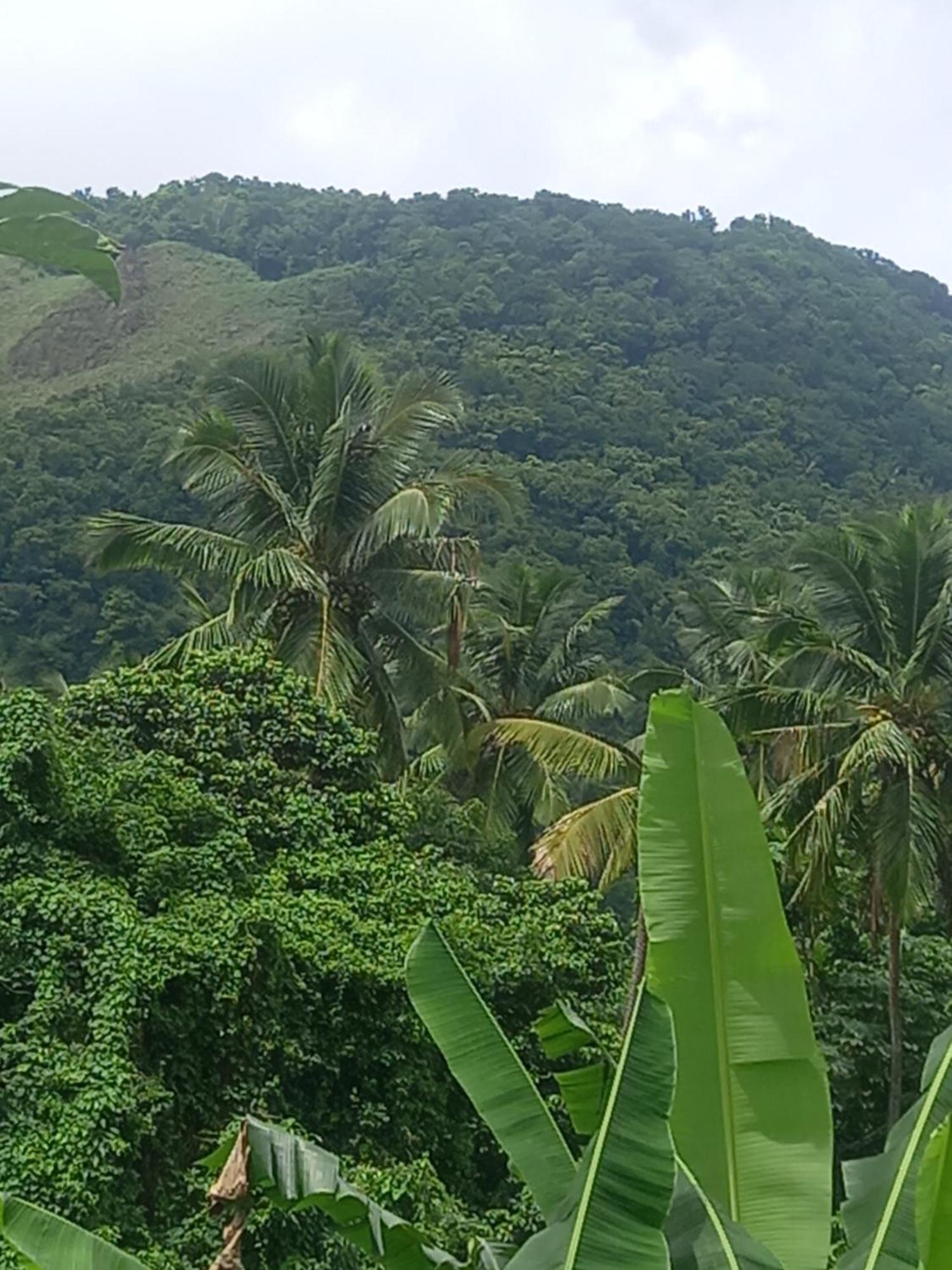 The Jungle Escape Hotel Soufriere Exterior photo